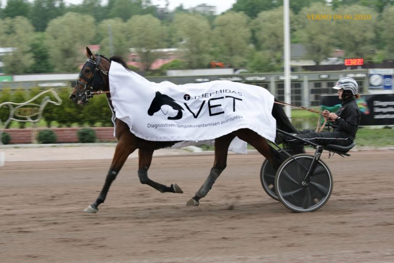 Staro Miami ravasi TherMidas VET viisivuotislähdön voittajaksi