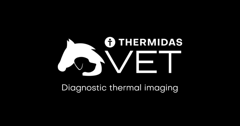 Thermidas VET -sivusto on päivitetty